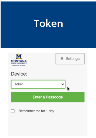 msu e tokens